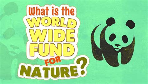wwf lottery draw|World Wide Fund for Nature .